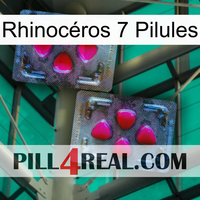 Rhinocéros 7 Pilules 15